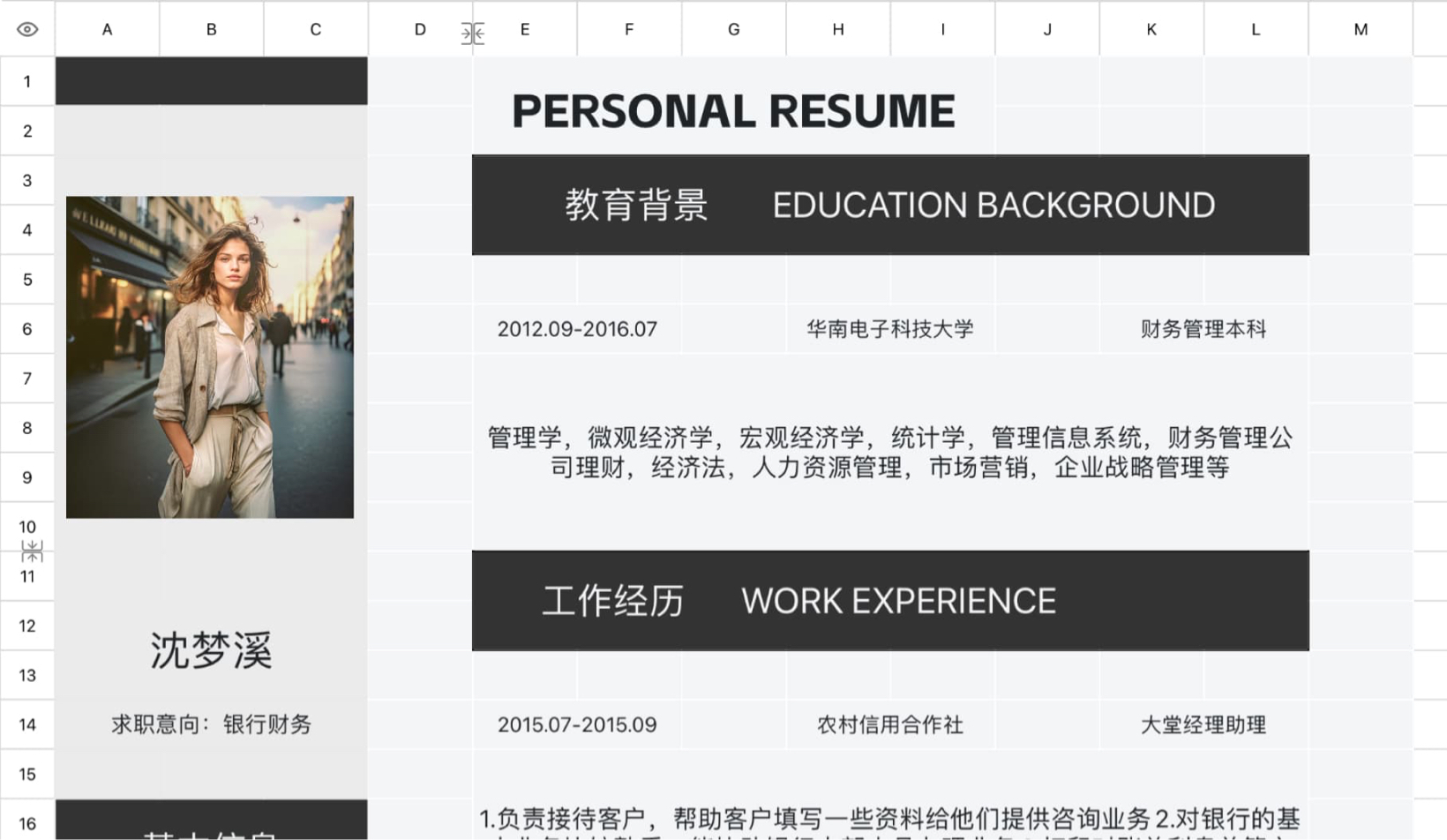 Financial resume